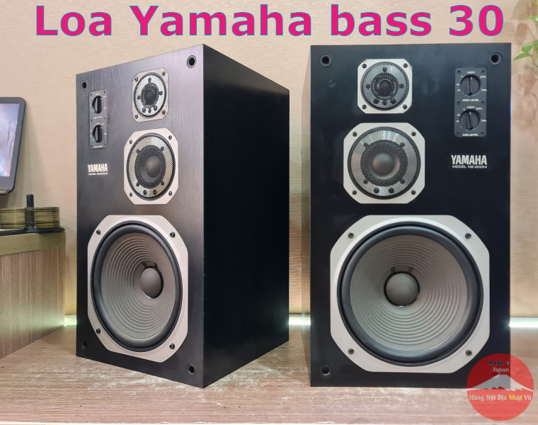 Loa Yamaha Bass 30 chất lượng, giá rẻ, hàng chuẩn!