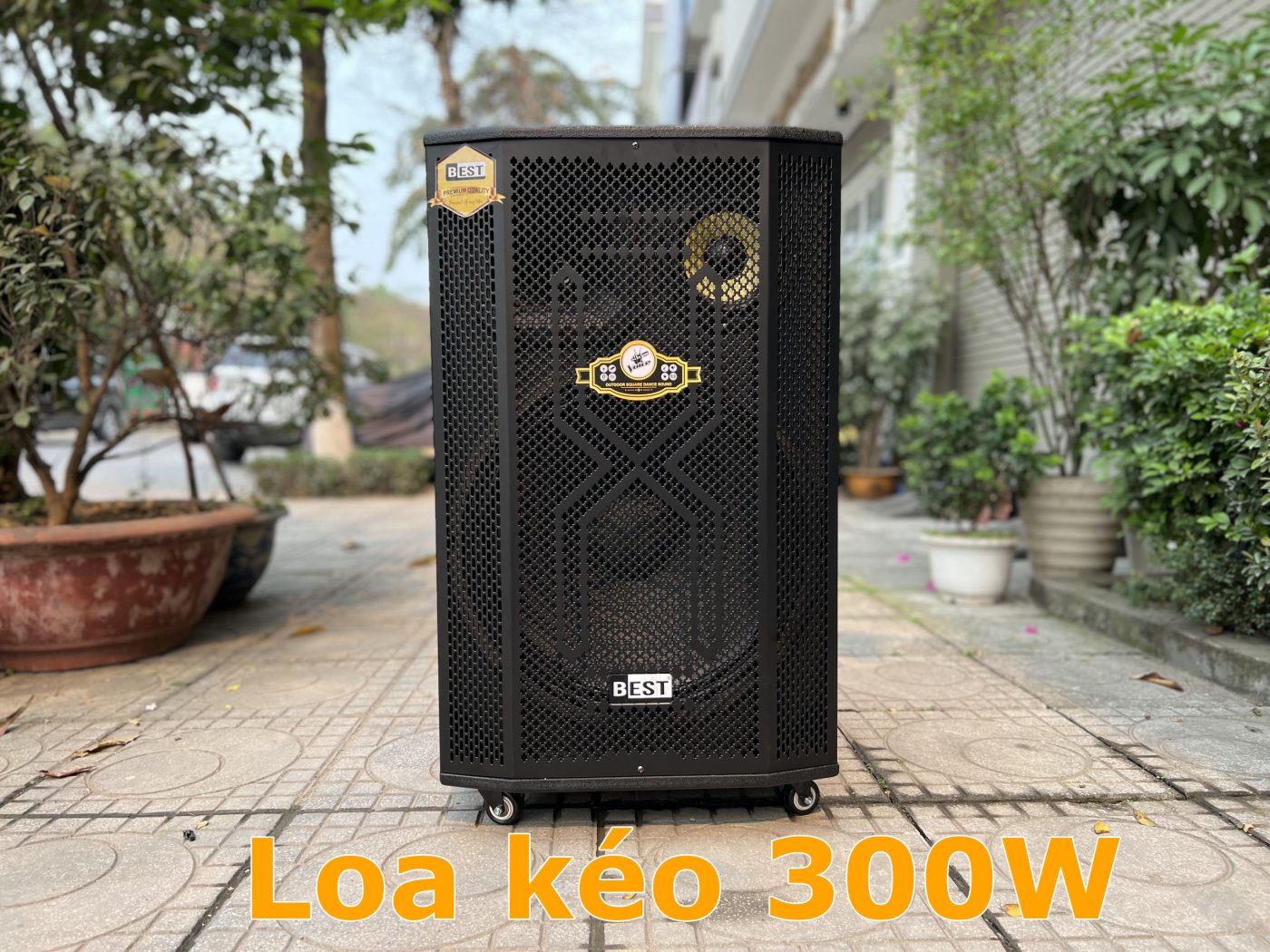 TOP 7 Loa kéo 300W chất lượng, giá rẻ, chính hãng!