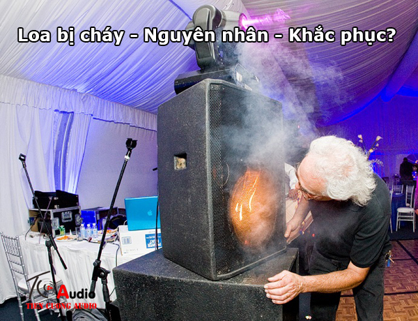 Nguyên Nhân Loa Bị Cháy Và Cách Xử Lý Khi Loa Bị Cháy