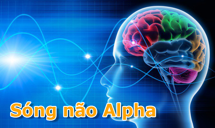 Nhạc sóng não Alpha là gì? Tác dụng của nó với sức khỏe