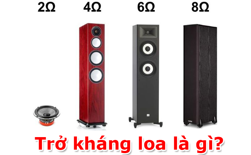 Trở Kháng Loa Là Gì? những điều bạn chưa biết?