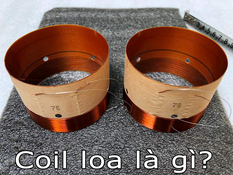 Coil loa là gì? Có những loại coil loa nào trên thị trường?